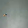 ورق ام دی اف سبز کله غازی